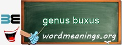 WordMeaning blackboard for genus buxus